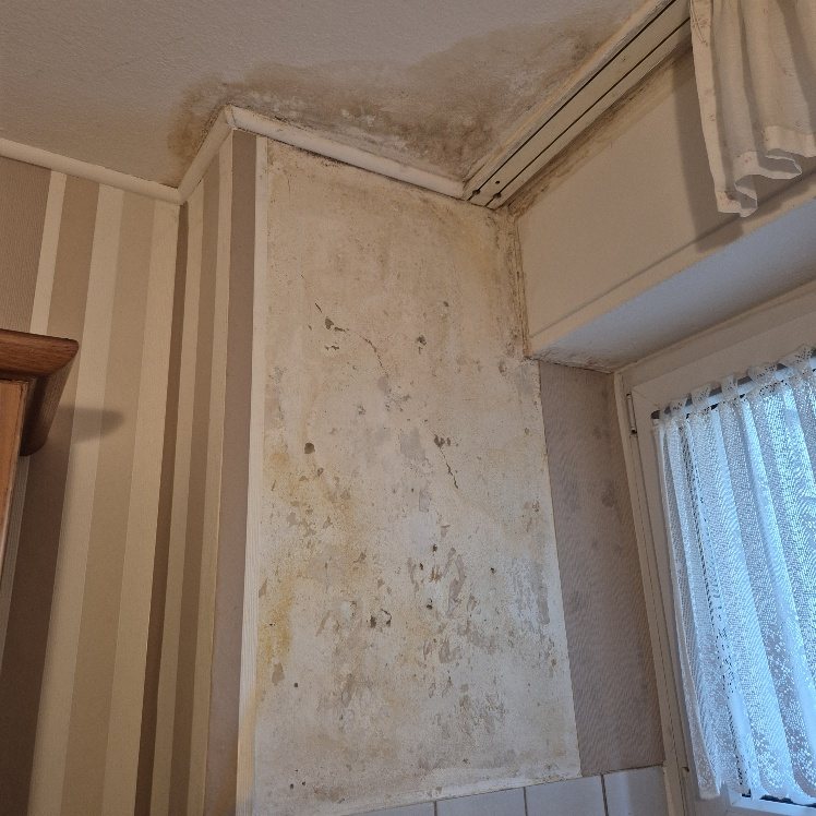 Stark beschädigter Wand- und Deckenbereich nach Feuchtigkeitseinwirkung im Innenraum